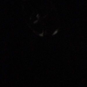 Meet your Posher, Chad